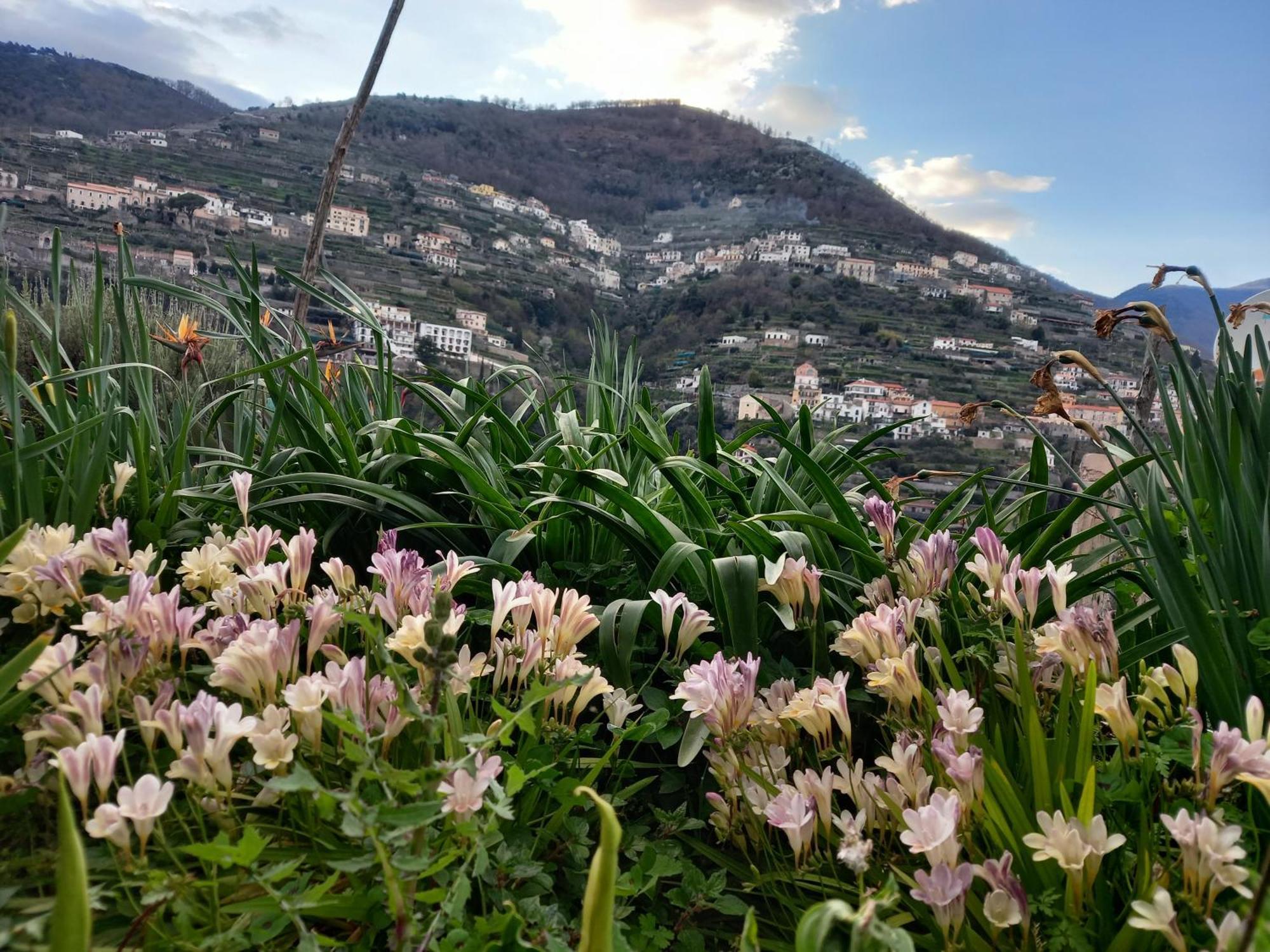 La Margherita Fiorita Ravello Exterior foto